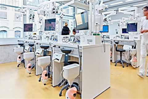 The Role Of Endodontics In Modern Dental Care In Basel