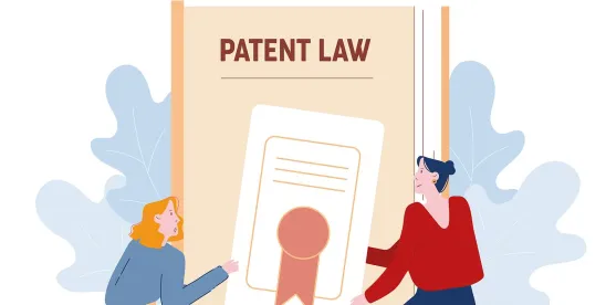 When Patent Law Meets Free Speech: Anti-SLAPP Appellate Jurisdiction