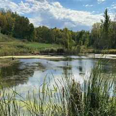 Exploring the Environmental and Conservation Scene in Blaine, Minnesota