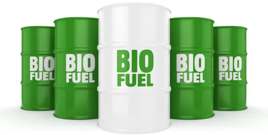 European Bioeconomy Alliance Report Confirms Benefits of Using First-Generation Biomass for Food,..