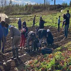 5 Ways to Get Involved with Environmental Groups in Multnomah County, Oregon