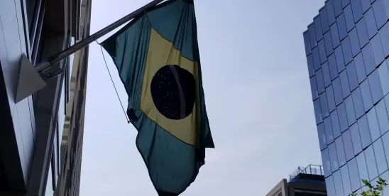 EPDB Adopts Opinion on Brazil Adequacy Decision