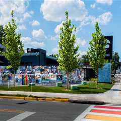 Preserving Southeast Florida's Natural Beauty: The Role of Community Projects