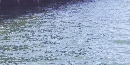 The Never-Ending Rule: EPA and Army Corps of Engineers Propose Narrowing the Post-Sackett..