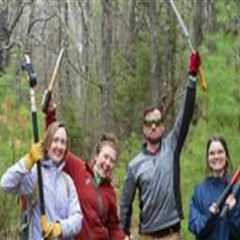 Exploring Opportunities in Charities: Internships and Jobs in Northern Virginia