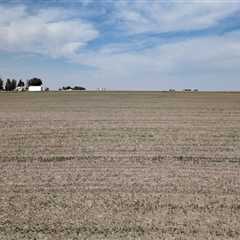 The Evolution of Nonprofit Organizations in Sangamon County, Illinois: A Historical Perspective