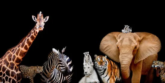 USFWS and NMFS Propose Changes to Restore Endangered Species Act Regulations Promulgated during the ..