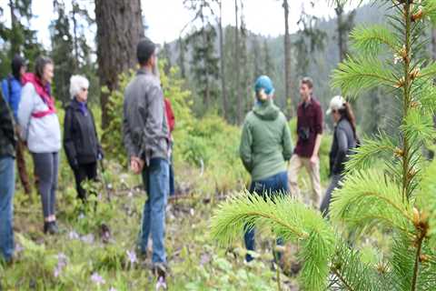 The Impact of Environmental Groups in Multnomah County, Oregon