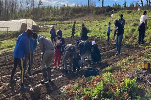 5 Ways to Get Involved with Environmental Groups in Multnomah County, Oregon