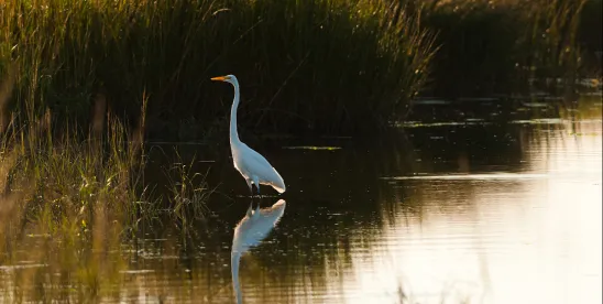 The EPA Redefines Clean Water Act Definitions: Shifting Federal Control