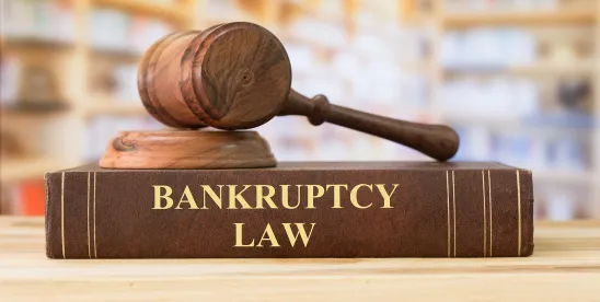 Weekly Bankruptcy Alert November 24, 2025 (For the Week Ending November 23, 2025)