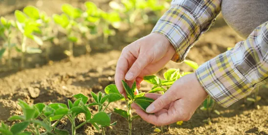 DOJ Ramps Up Antitrust Enforcement in Agriculture Industry