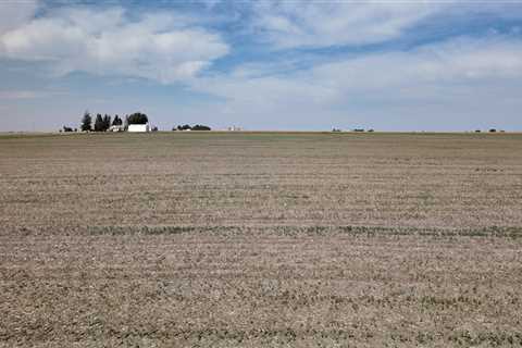 The Evolution of Nonprofit Organizations in Sangamon County, Illinois: A Historical Perspective