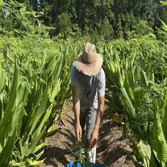 The Impact of Community Organizations on the Local Economy of Alachua County, FL: An Expert's..