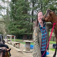 A Comprehensive Guide to Donating to Pet Care Organizations in Western Washington