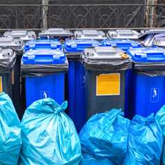 Expanding Recycling Programs in Lansing, Michigan: Current Initiatives and Future Prospects