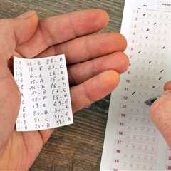 BDO Netherlands Disciplined for Not Pretending Hard Enough That Internal Exams Matter