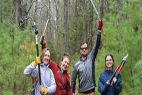 Supporting Nonprofit Organizations in Central Virginia: How You Can Make a Difference