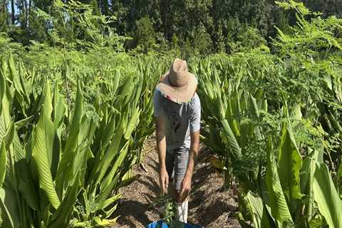 The Impact of Community Organizations on the Local Economy of Alachua County, FL: An Expert's..