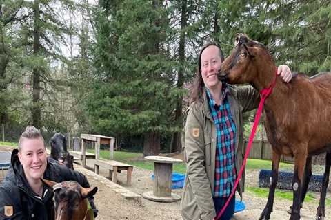 A Comprehensive Guide to Donating to Pet Care Organizations in Western Washington