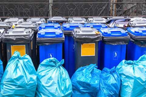 Expanding Recycling Programs in Lansing, Michigan: Current Initiatives and Future Prospects