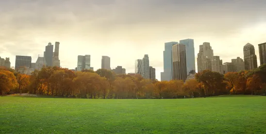 NY DEC Announces Four New PFAS Initiatives