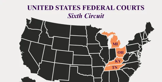 Sixth Circuit Grants Extraordinary Relief in FirstEnergy Discovery Dispute