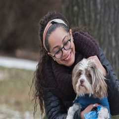 Exploring Overnight Boarding Services Offered by Pet Care Organizations in Southern New Jersey