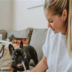 The Ultimate Guide to Booking Pet Care Services in Southern New Jersey: Timing and Tips