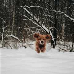 Monday Morning Accounting News Brief: Treasury Abruptly Yeets Booz Allen Hamilton Contracts;..