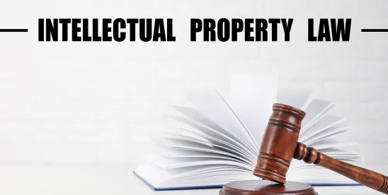 Expert Had Firm Grip on Rule 702