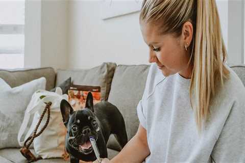 The Ultimate Guide to Booking Pet Care Services in Southern New Jersey: Timing and Tips