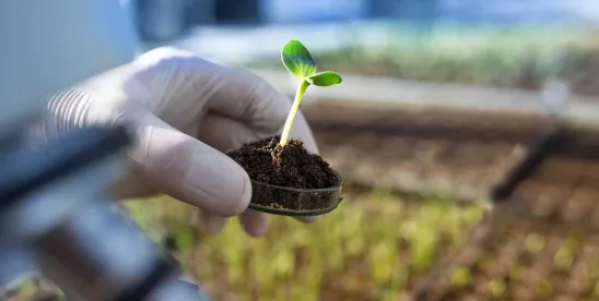 NMED Posts Revised Proposed PFAS Reporting, Labeling, and Prohibition Rule