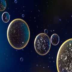 Benefits of Argan Oil for Multiple Sclerosis Wellness