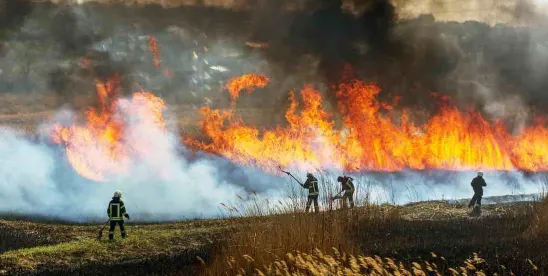 Nevada Enacts New Workplace Protections for Employees Exposed to Wildfire Smoke