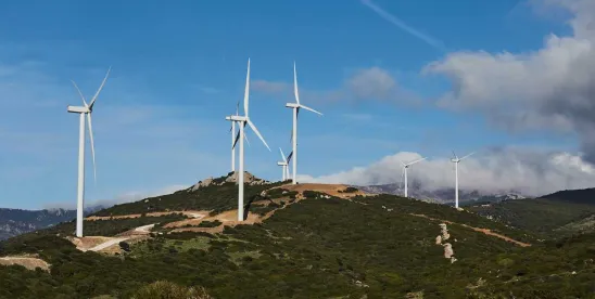 What to Watch for in 2026: The Trump Administration Resumes Eagle Take Permitting for Wind..