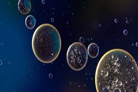 Benefits of Argan Oil for Multiple Sclerosis Wellness