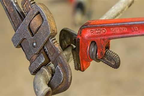 Expert Leak Detection and Landscape Engineering in Carrum Downs