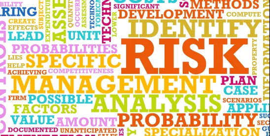 Can’t Touch This: Managing Risk in Intangible Assets