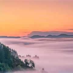 Discover Top Vineyards in Oregon and Convenient Food Shipping