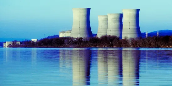 Navigating Nuclear- Unused Combined Licenses Provide a Shortcut to New Builds