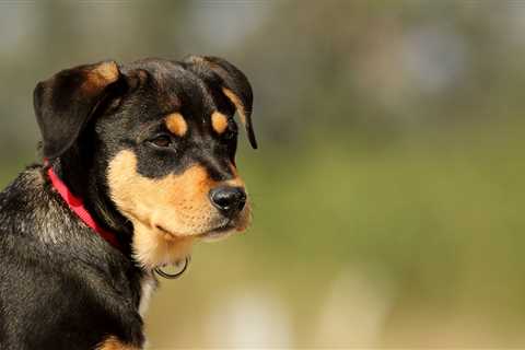 Friday Footnotes: PwC CEO Issues a Stern Threat to Luddite Partners; Compliance Startup Gets..