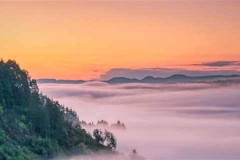 Discover Top Vineyards in Oregon and Convenient Food Shipping