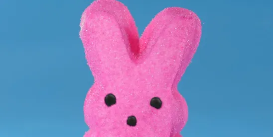 Congress and the Easter Recess — How Might Bunnies, Ducks, and Cats Affect Chemical and Pesticide..