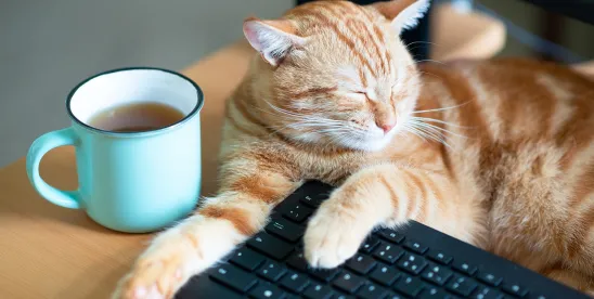 Pet Leave on the Horizon? What Employers Should Know (US)