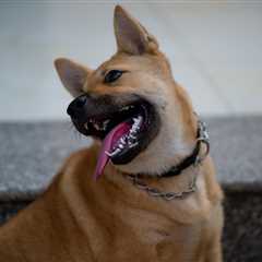 Friday Footnotes: Feds Get a Tax Preparer in Their Biggest Pandemic Relief Bust Yet; AI Is Coming..