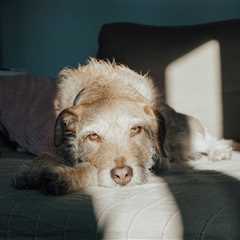 Monday Morning Accounting News Brief: Tax Day Used to Be a Big Party; A Tale of Two PwCs | 4.13.26