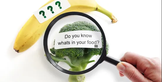 FDA’s Human Foods Program Research Needs Include Assessing Nanoparticles