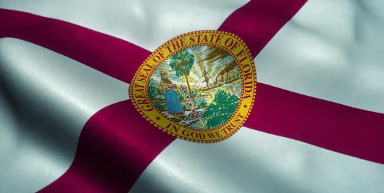 Anti-DEI Law Requires Florida Contractors and Grant Recipients to Certify Compliance