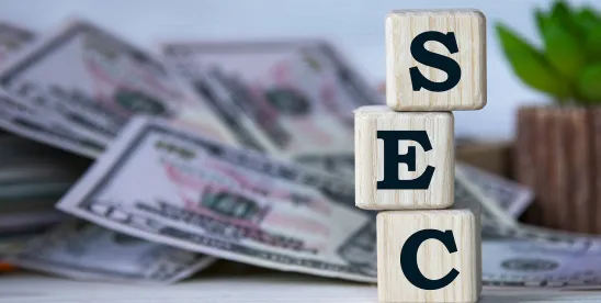 SEC Proposes Reforms to Registered Offerings and Reporting Framework